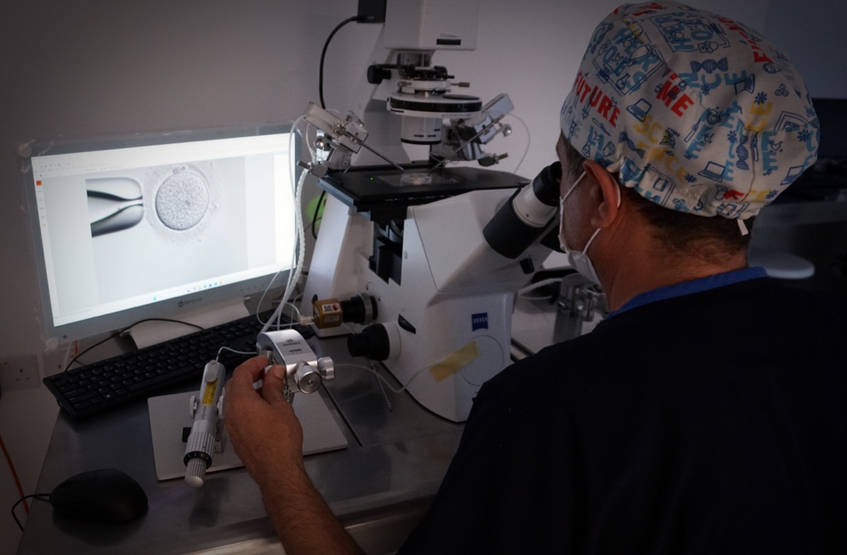 Embrioni nën mikroskop në ekranin e laboratorit